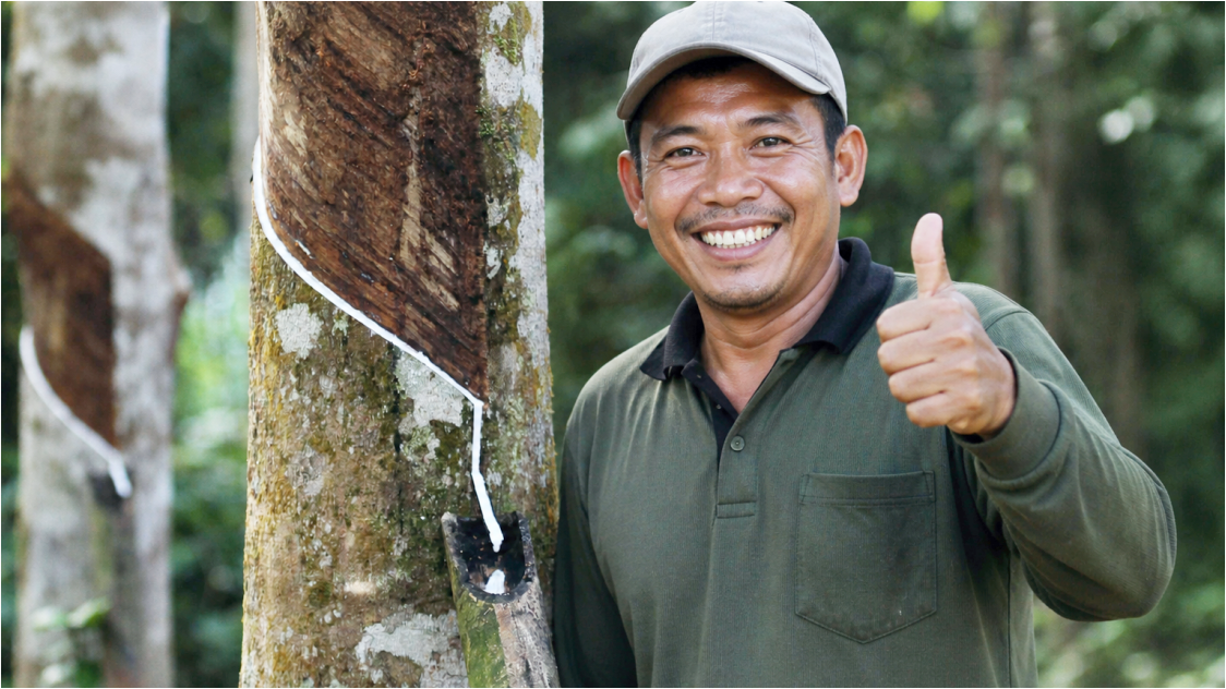 Harga Karet Mulai Konsolidasi di Tengah Cuaca dan Geopolitik Global