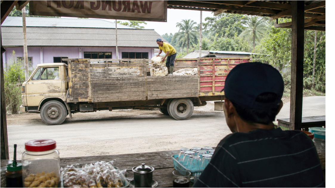 Rubber Prices Move Sideways as Technical Rebound Emerges, Market Awaits Fresh Catalysts from Global Fundamentals and Weather Conditions
