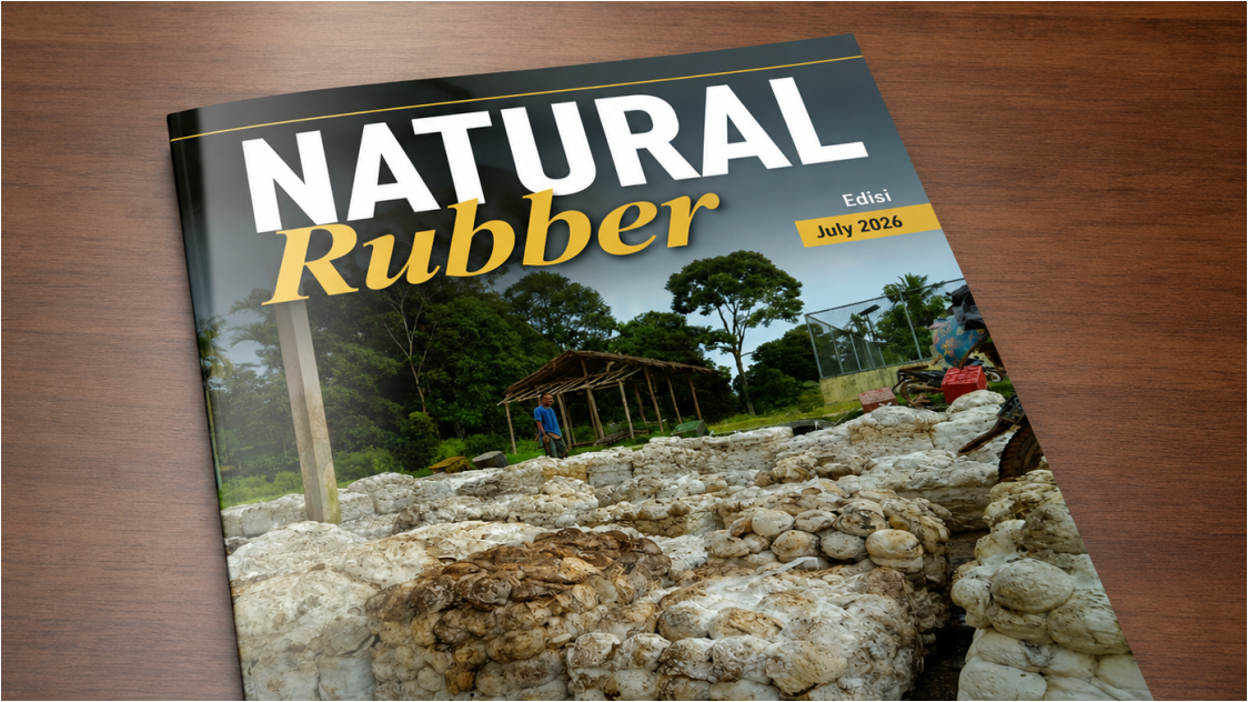 Rubber Rebound Stalls as Morning Correction Emerges, Market Seen Moving Sideways