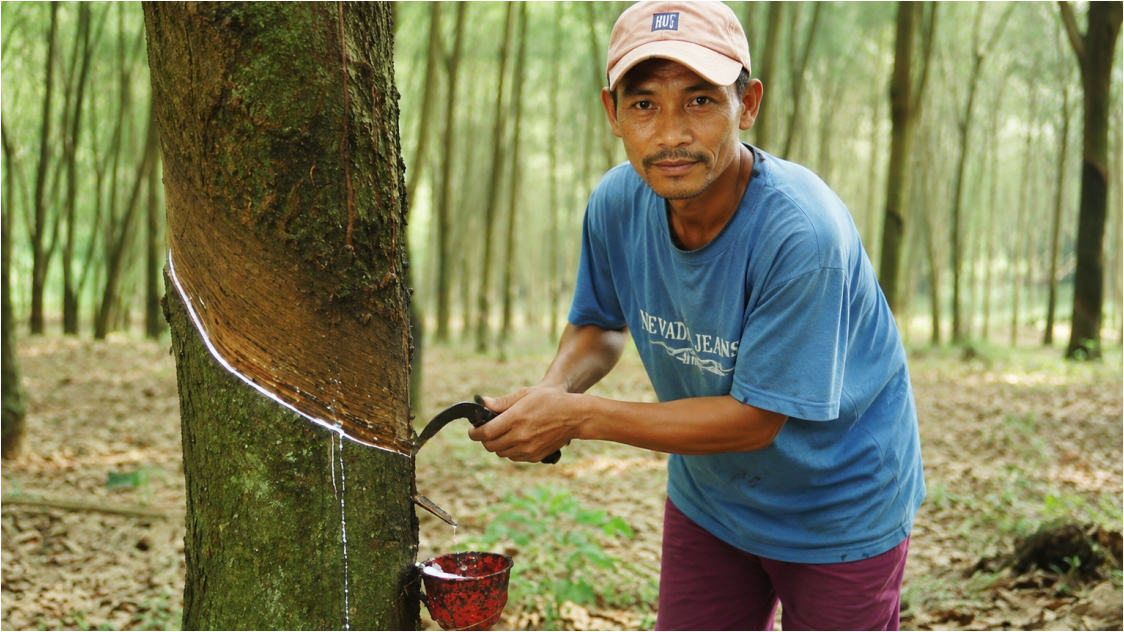 Global Rubber Prices Extend Rebound for a Second Day, Supported by Heavy Rain in Thailand and Surging Oil Prices — Will the Recovery Hold Through the Weekend?