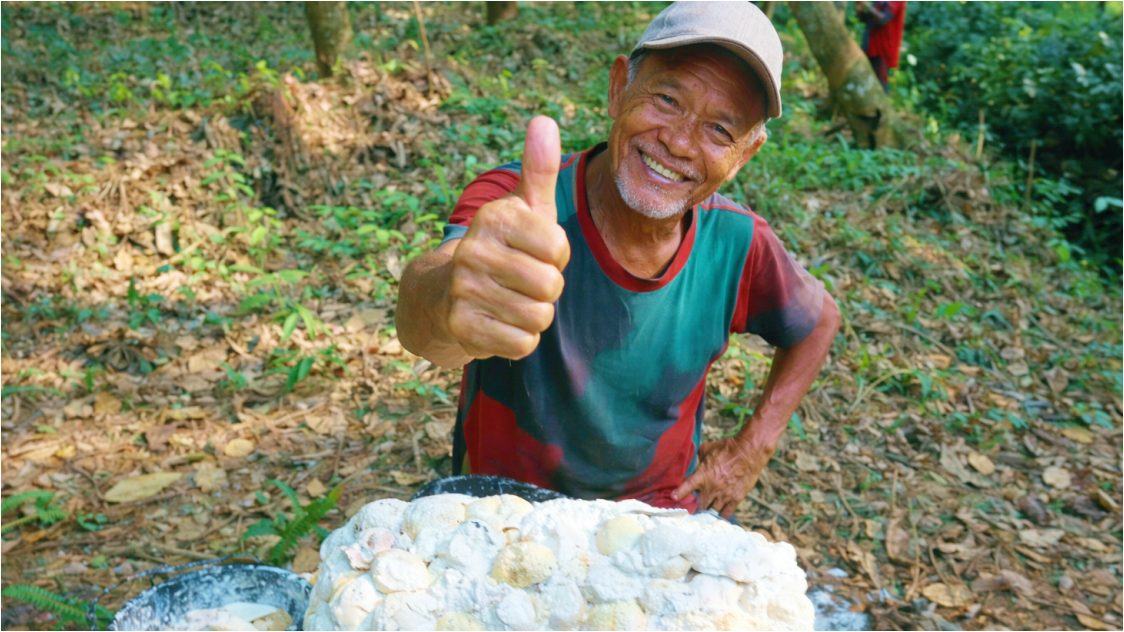 Harga Karet Tertahan, Peluang Reli Terbuka