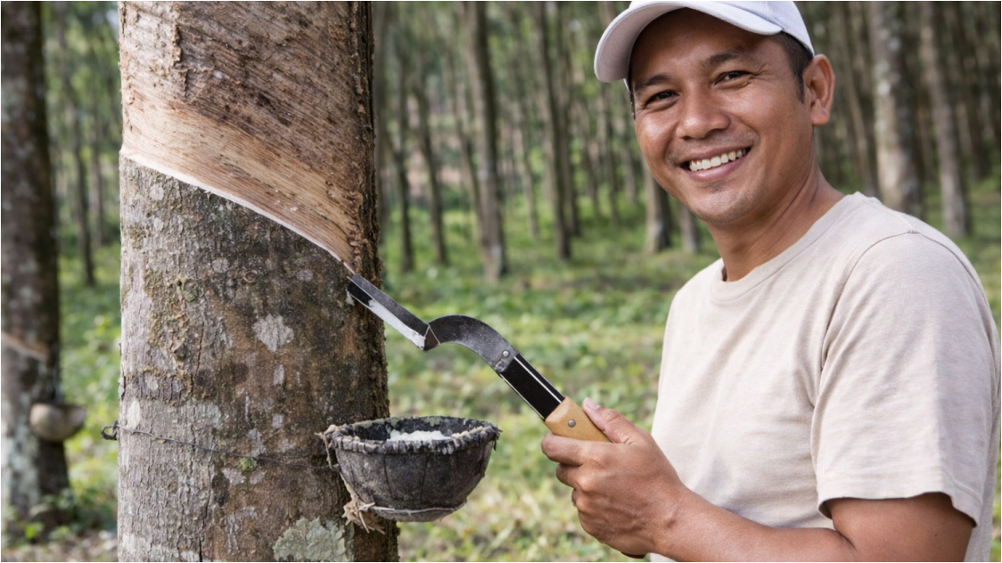 Ekspor Karet Alam Sumatera Utara Januari 2026 Turun, Harga Global Menguat