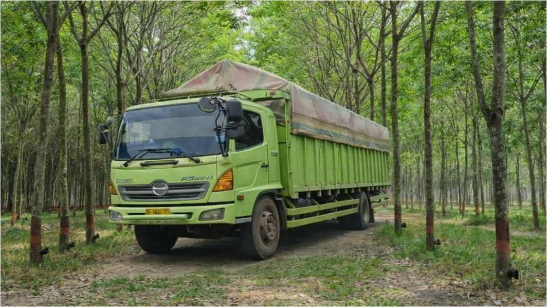 Harga Karet Global Fluktuatif, SICOM TSR20 pagi ini di Level 195