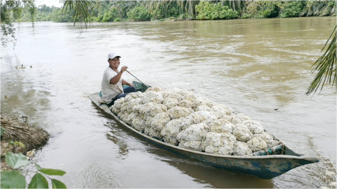 Harga Karet Berpeluang Fluktuatif, Pasokan Menyusut Jadi Penopang Utama