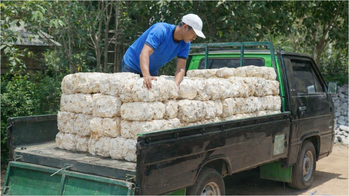 Harga Karet Bangkit di Akhir Maret 2026, Sentuh Kembali Level 200